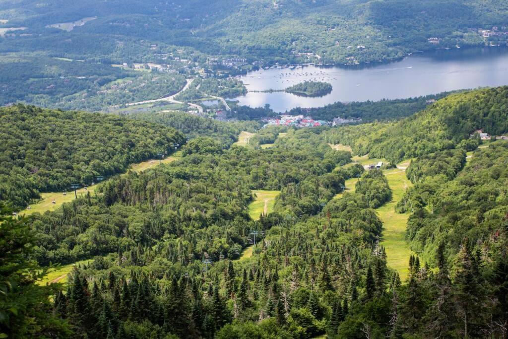The Alpine Nest - 3 Beds - 4 Guests - Free Parking - Pool Apartment Mont-Tremblant Exterior photo